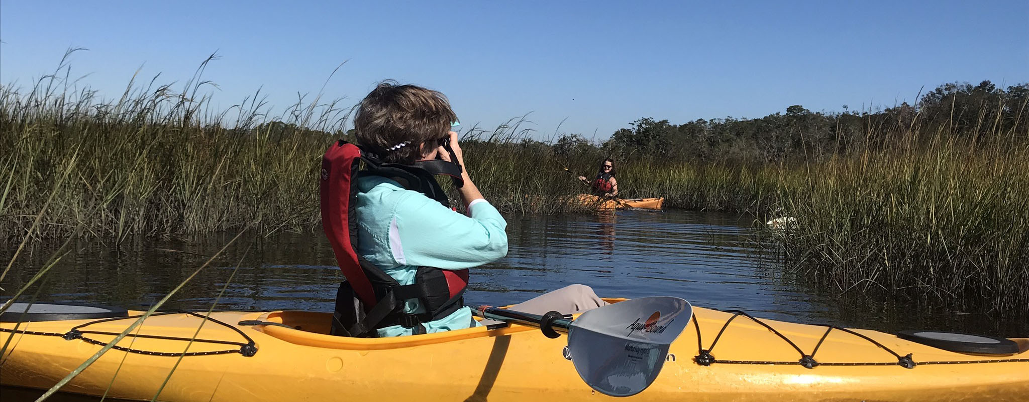 Saltwater Marsh Kayak Tours