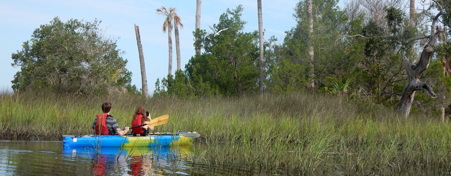 Kayak Tours Around Jacksonville