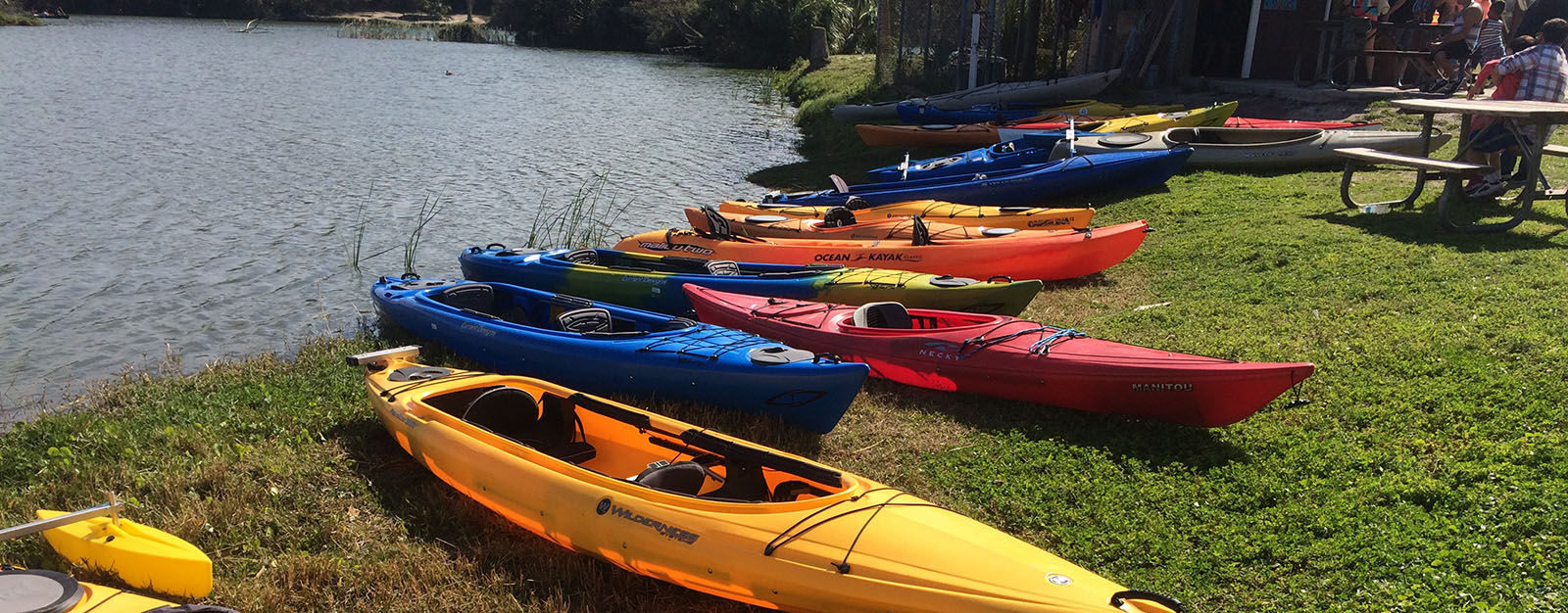 kayak tour jacksonville fl